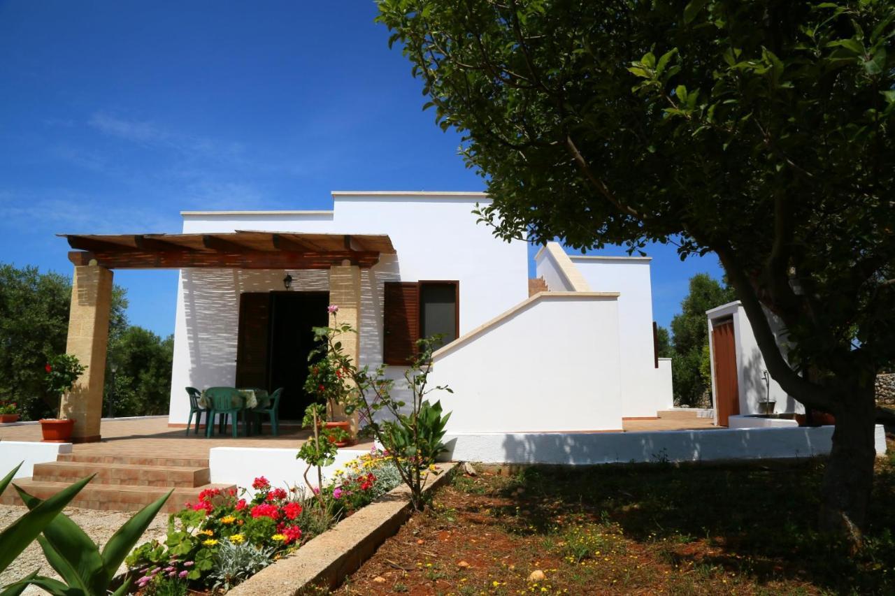 Damiavacanze Casa Vacanza Al Mare A Torre Vado Daire Oda fotoğraf